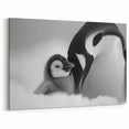 Elegant Penguin Art Print - Black & White Penguin Wall Decor for Home
