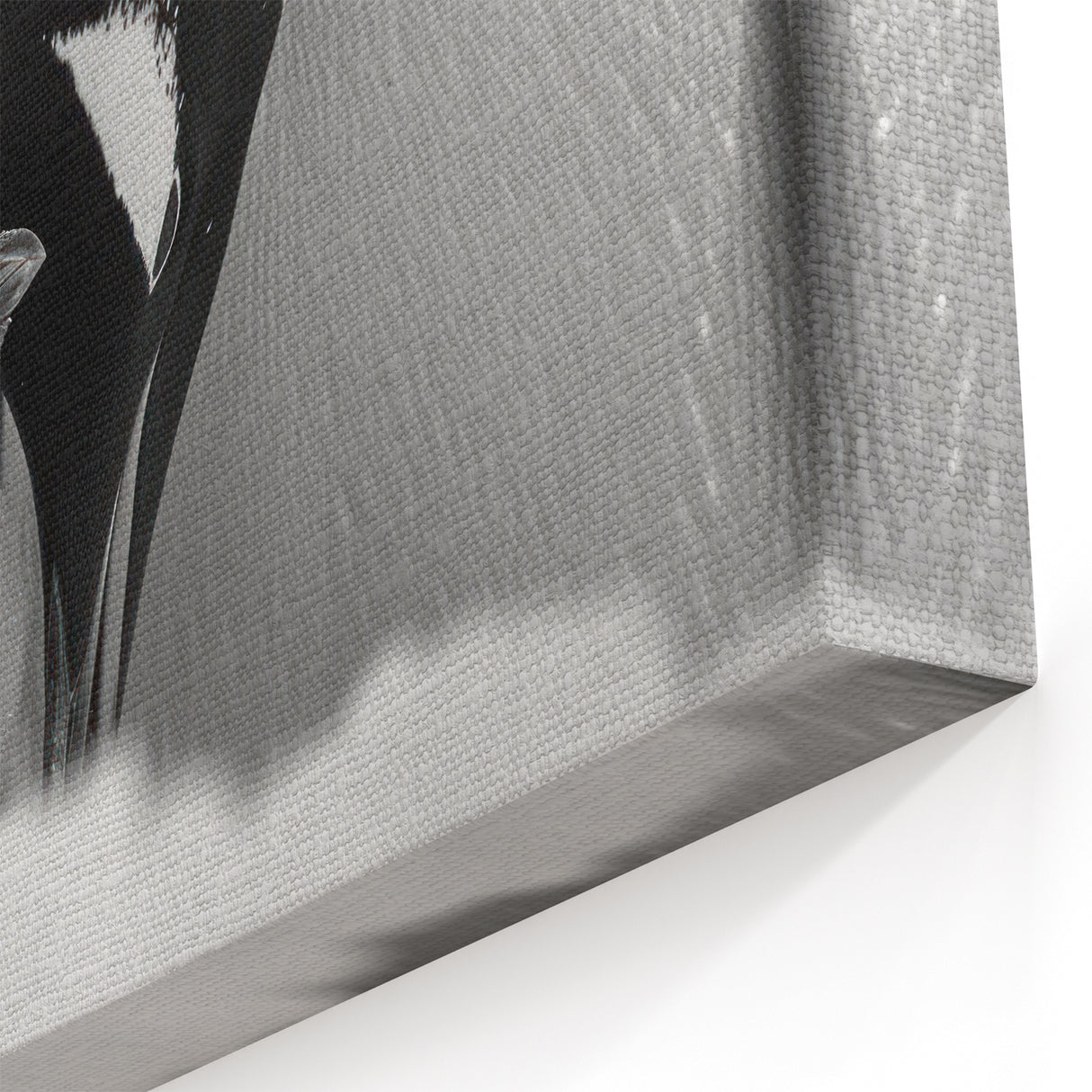 Elegant Penguin Art Print - Black & White Penguin Wall Decor for Home