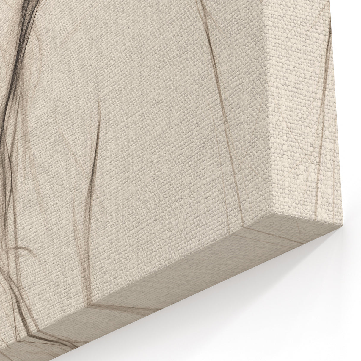 Elegant Minimalist Sketch Art | Modern Black and White Canvas Decor