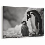 Black & White Penguin Art Poster - Wildlife Penguin Wall Decor Print