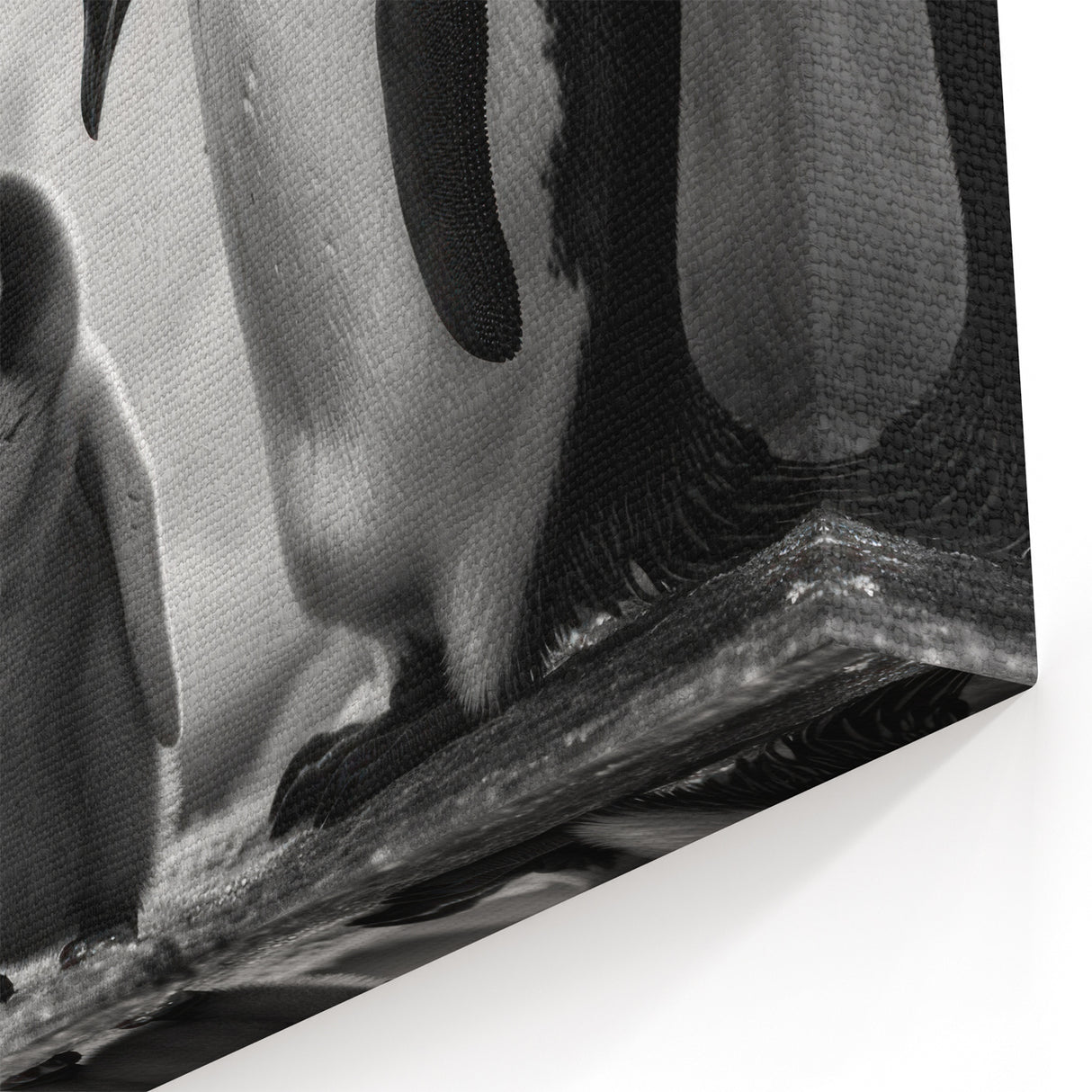 Black & White Penguin Art Poster - Wildlife Penguin Wall Decor Print