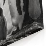 Black & White Penguin Art Poster - Wildlife Penguin Wall Decor Print