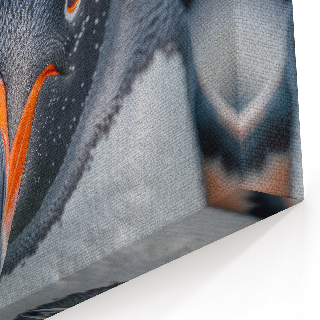 Bold Penguin Photography Art - Close-Up Wildlife Wall Decor Print