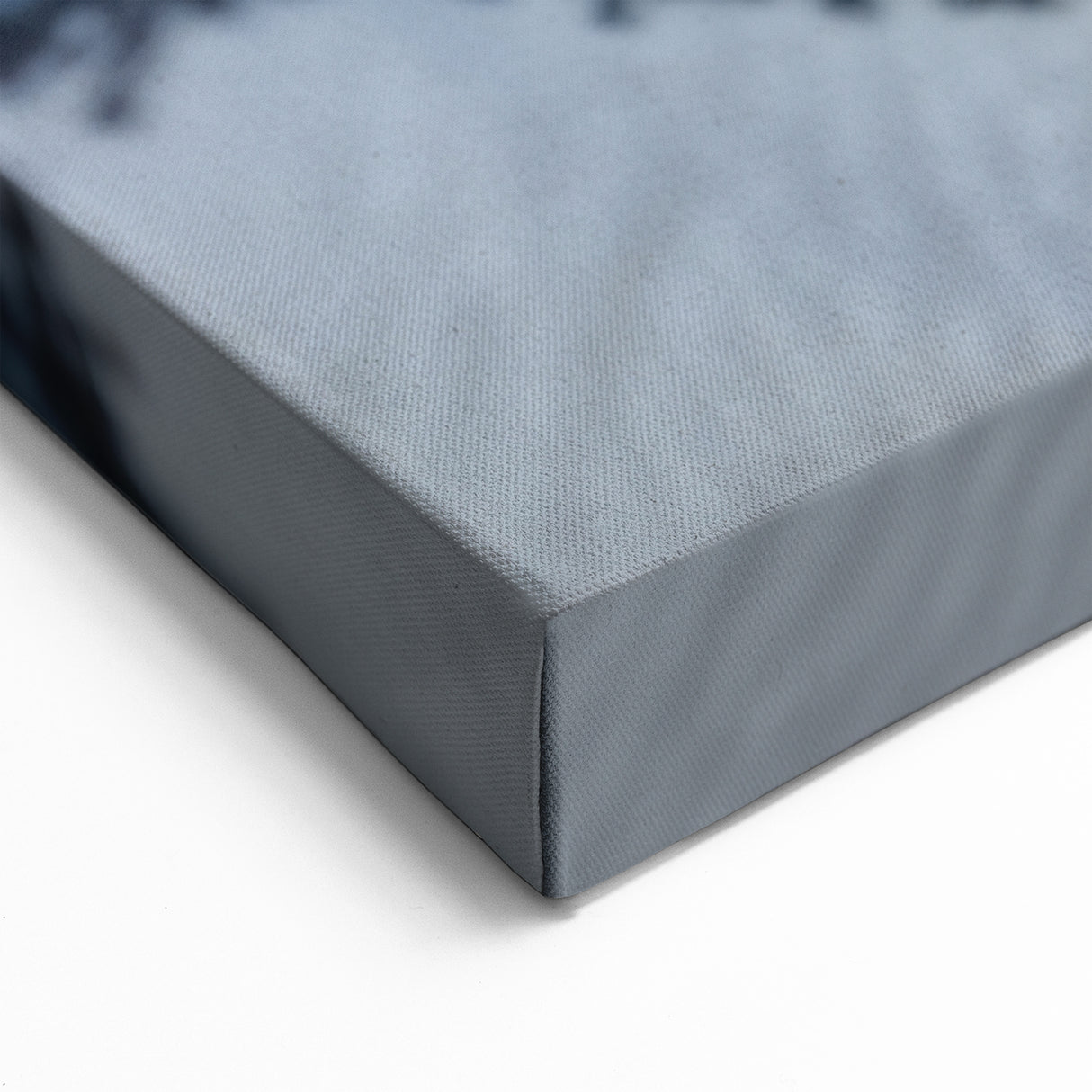 Bold Penguin Photography Art - Close-Up Wildlife Wall Decor Print