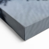 Bold Penguin Photography Art - Close-Up Wildlife Wall Decor Print