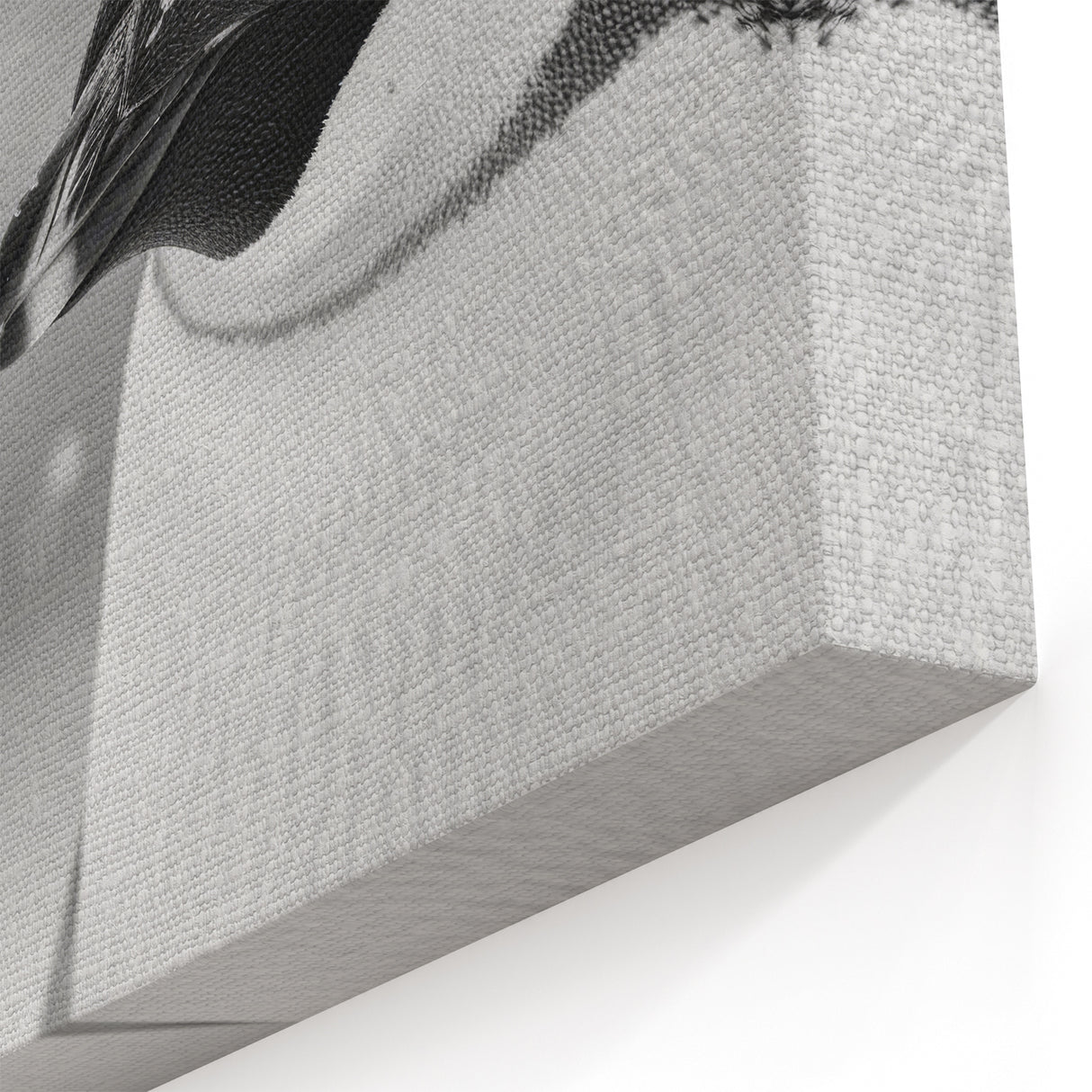 Elegant Monochrome Penguin Art - Serene Wildlife Wall Decor Print