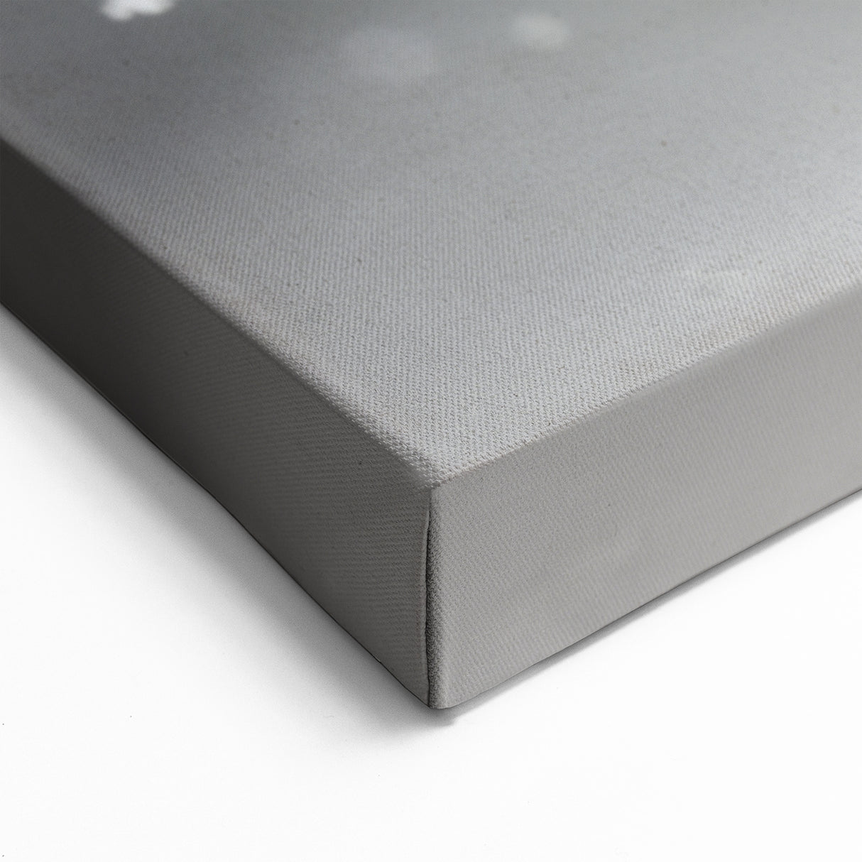 Elegant Monochrome Penguin Art - Serene Wildlife Wall Decor Print