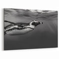 Penguin Wall Art - Underwater Black & White Photography Canvas Print