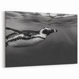 Penguin Wall Art - Underwater Black & White Photography Canvas Print