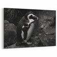 Penguin Wall Art - Black & White Wildlife Photography Canvas Print