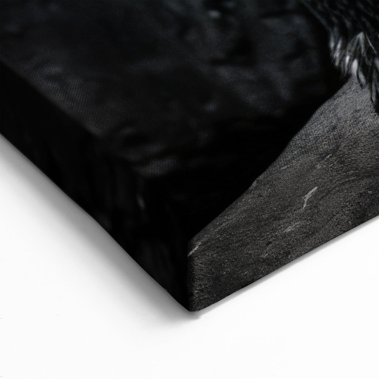 Penguin Wall Art - Black & White Wildlife Photography Canvas Print