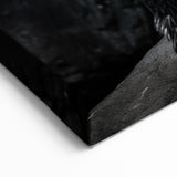 Penguin Wall Art - Black & White Wildlife Photography Canvas Print