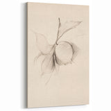 Graceful Simplicity - Minimalist Abstract Art with Delicate Linework