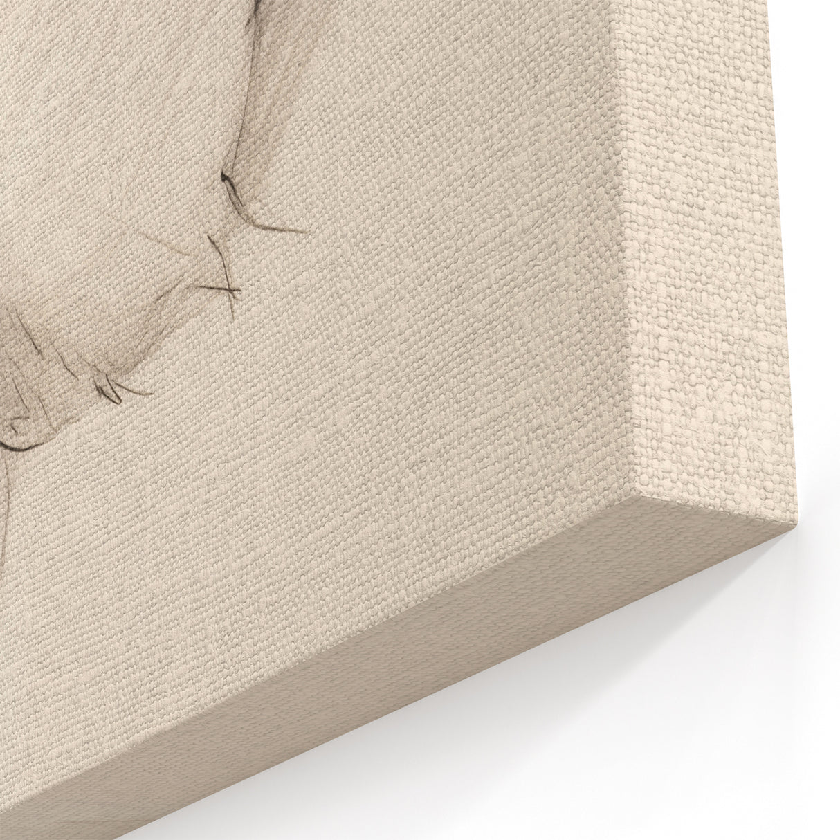 Graceful Simplicity - Minimalist Abstract Art with Delicate Linework