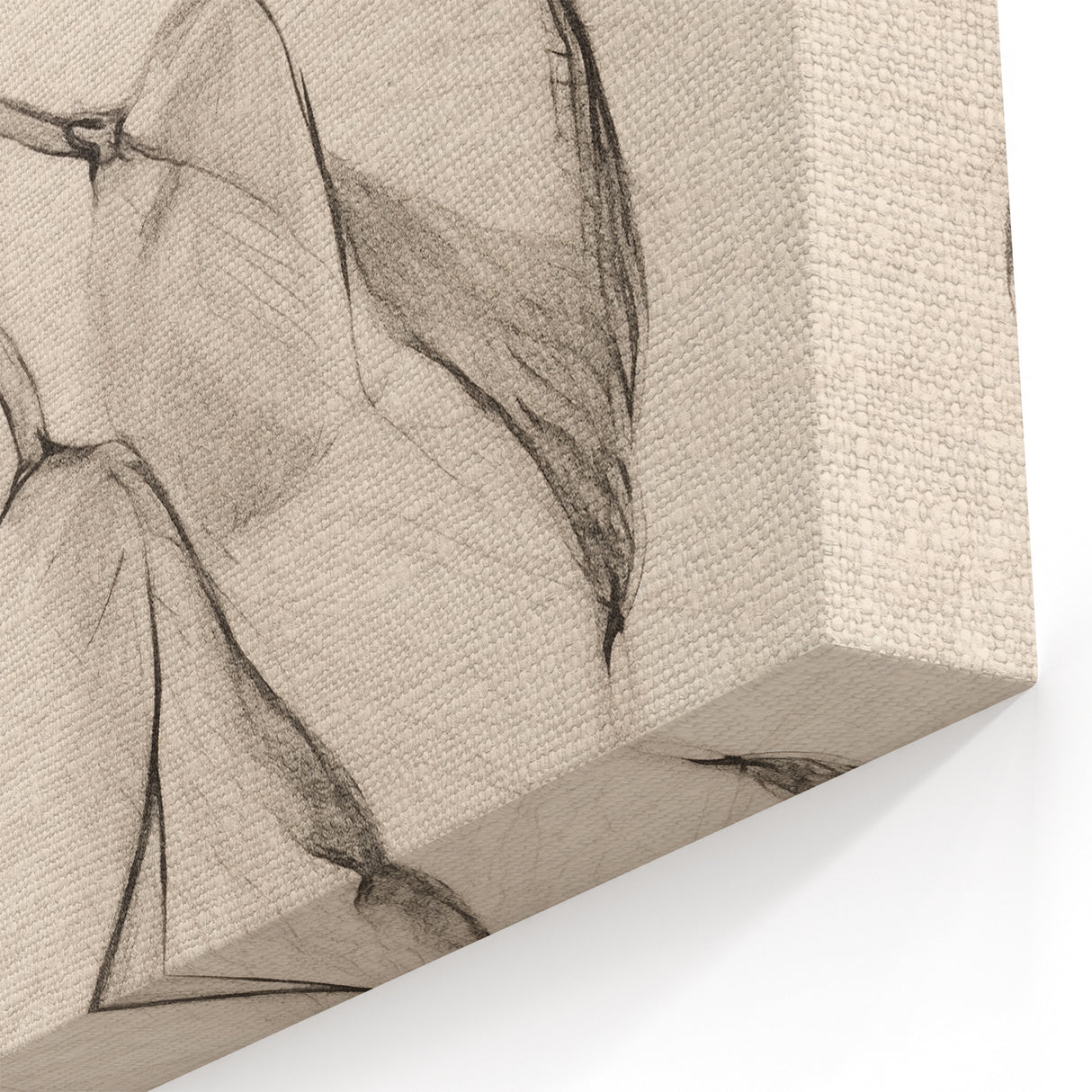 Subtle Elegance - Minimalist Abstract Art with Botanical Linework