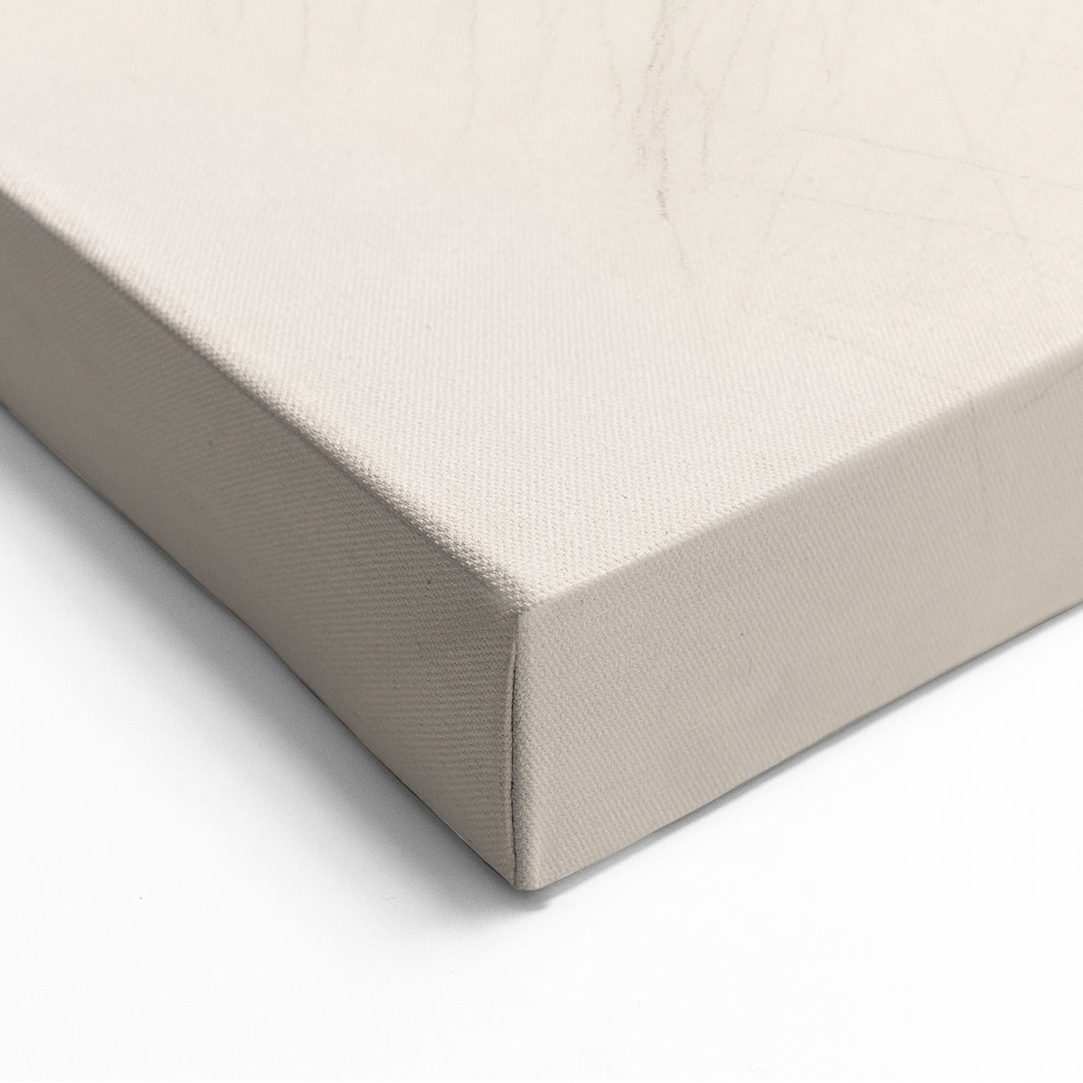 Subtle Elegance - Minimalist Abstract Art with Botanical Linework