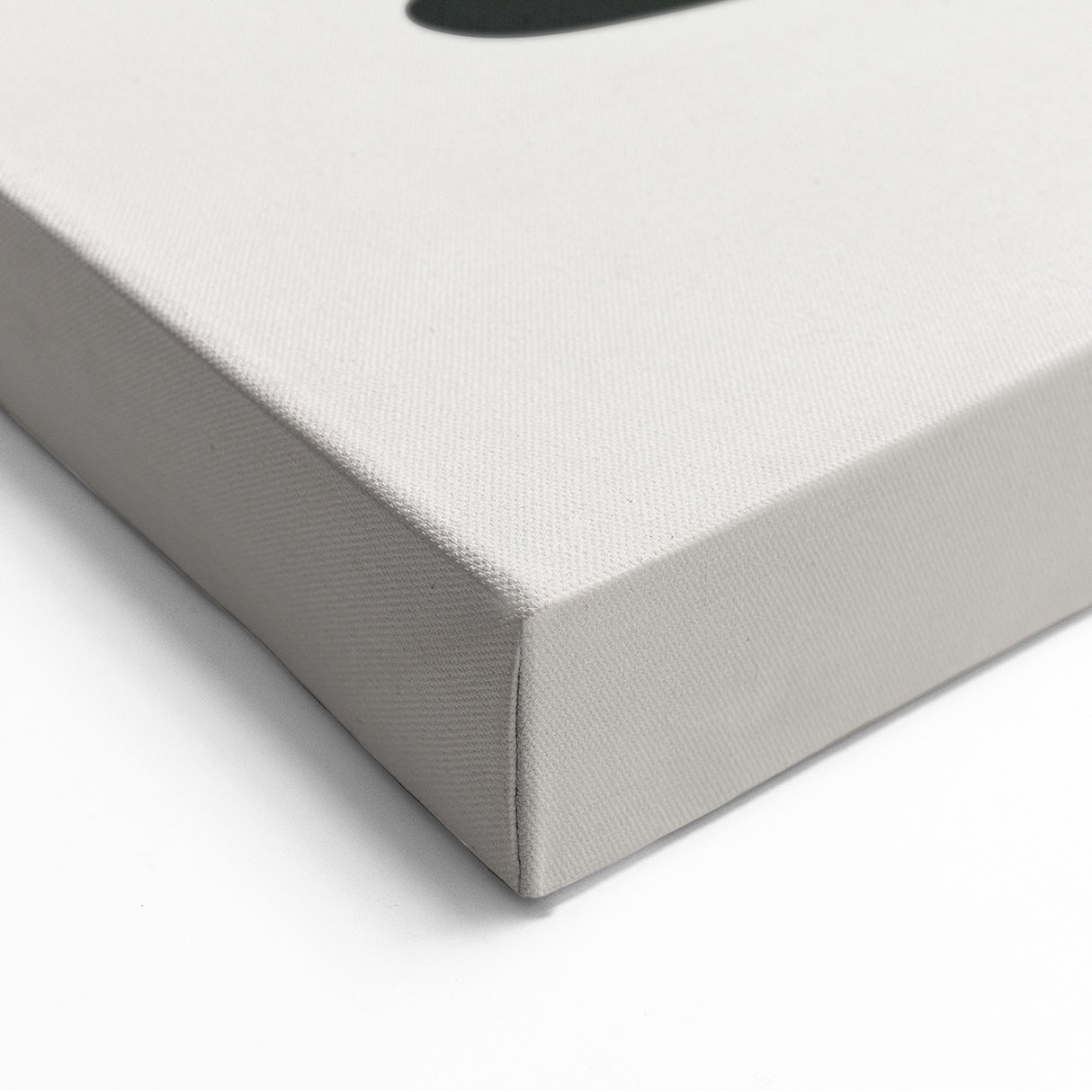 Minimalist Botanical Art | Modern Black & Beige Leaf Design | Wall Decor