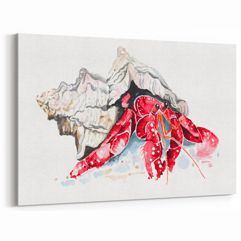 Vibrant Hermit Crab Wall Art - Canvas, Prints & Acrylic Glass Decor