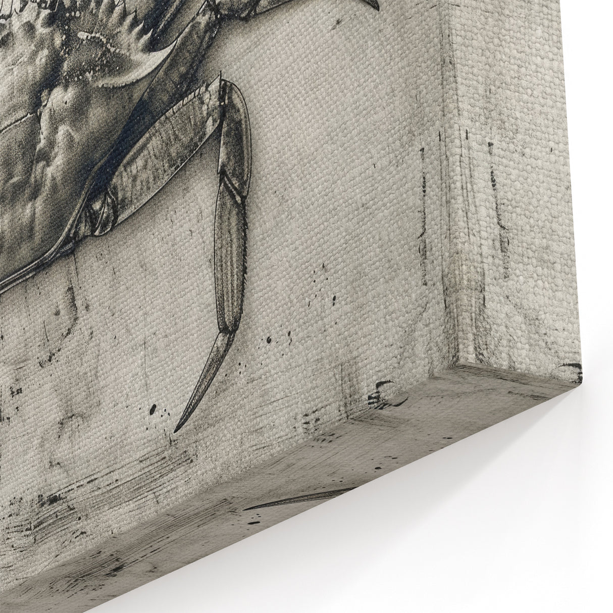 Elegant Crab Wall Art - Framed Canvas, Prints, & Acrylic Glass Options