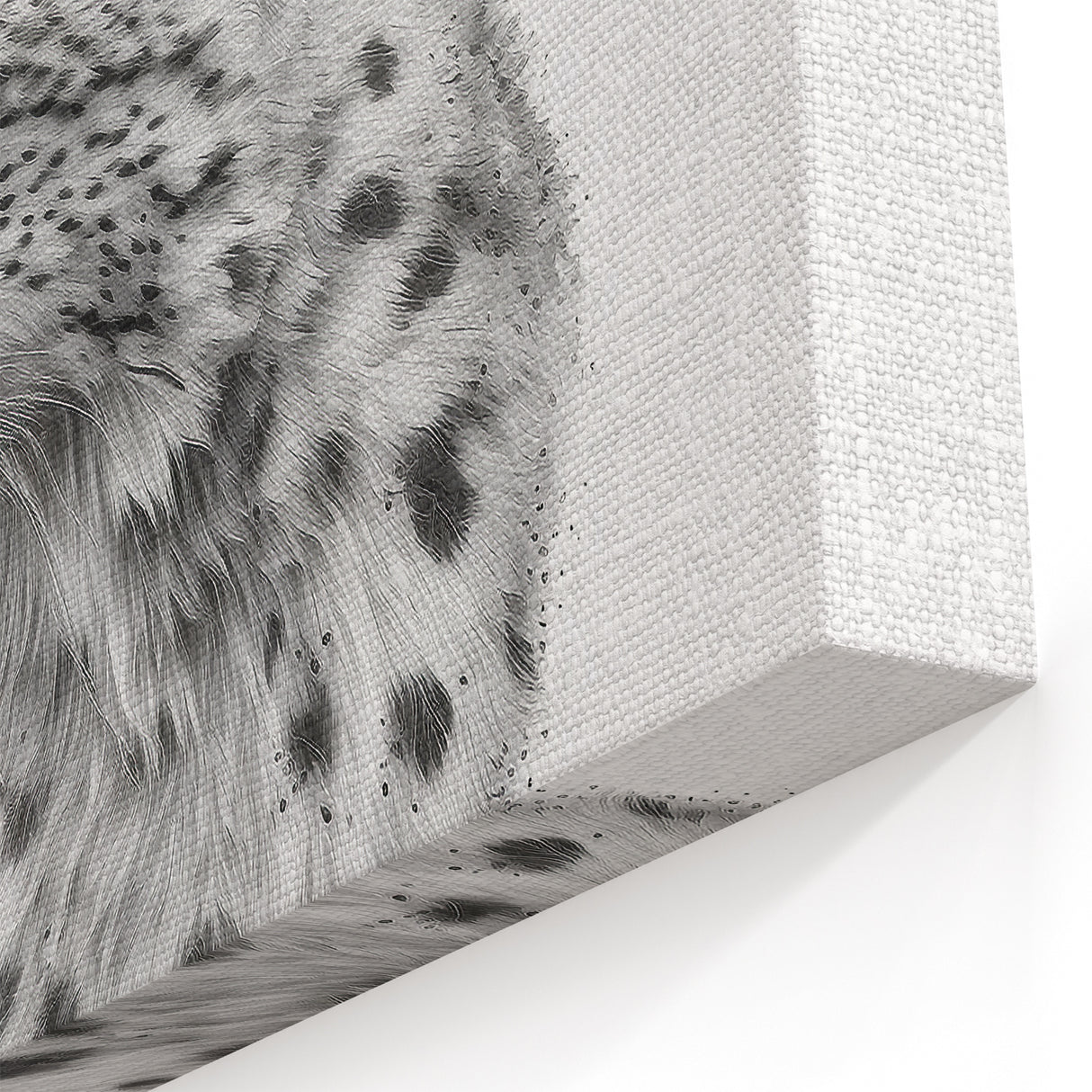 Elegant Lynx Art Poster - Black & White Wildlife Framed and Canvas Prints