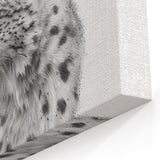 Elegant Lynx Art Poster - Black & White Wildlife Framed and Canvas Prints