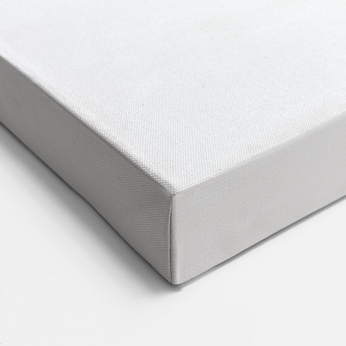 Elegant Lynx Art Poster - Black & White Wildlife Framed and Canvas Prints