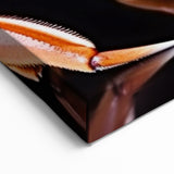 Crab Art Print - Detailed Marine Life Artwork for Modern Wall Decor