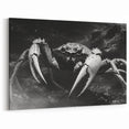 Crab Framed Art - Dramatic Black and White Marine Life Wall Decor