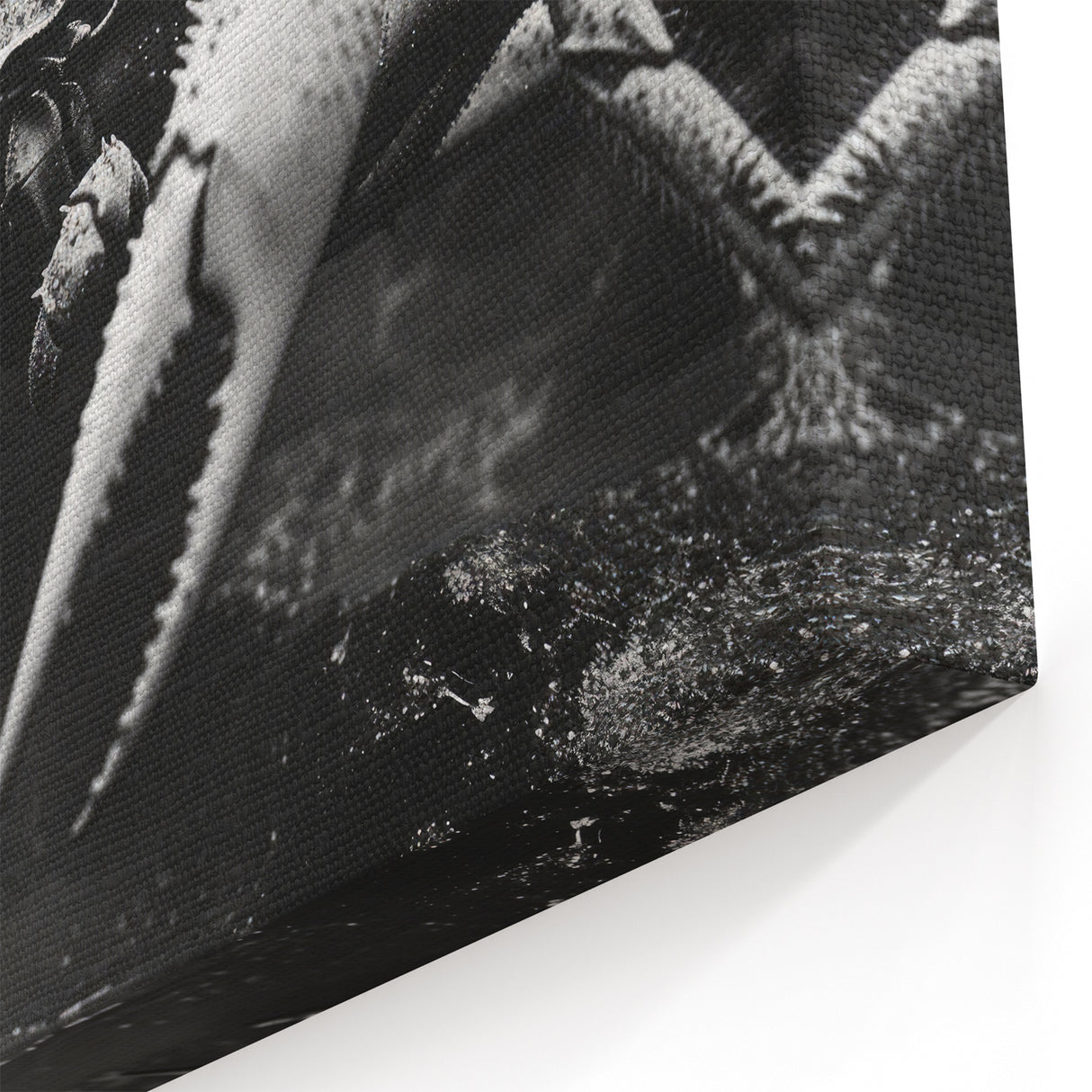 Crab Framed Art - Dramatic Black and White Marine Life Wall Decor