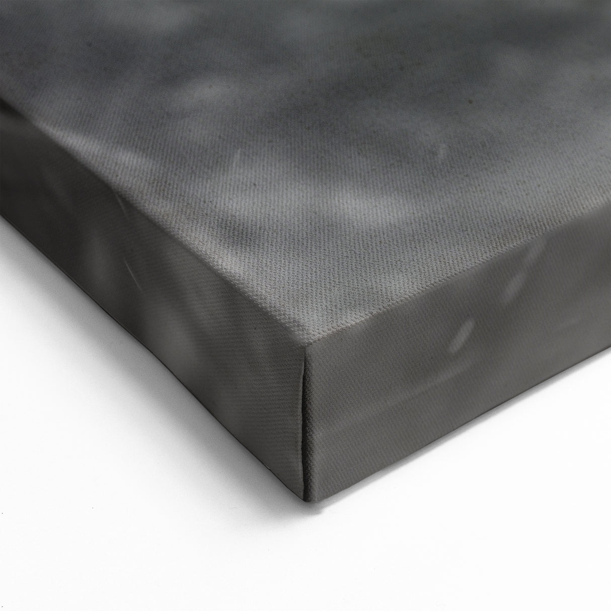 Crab Framed Art - Dramatic Black and White Marine Life Wall Decor