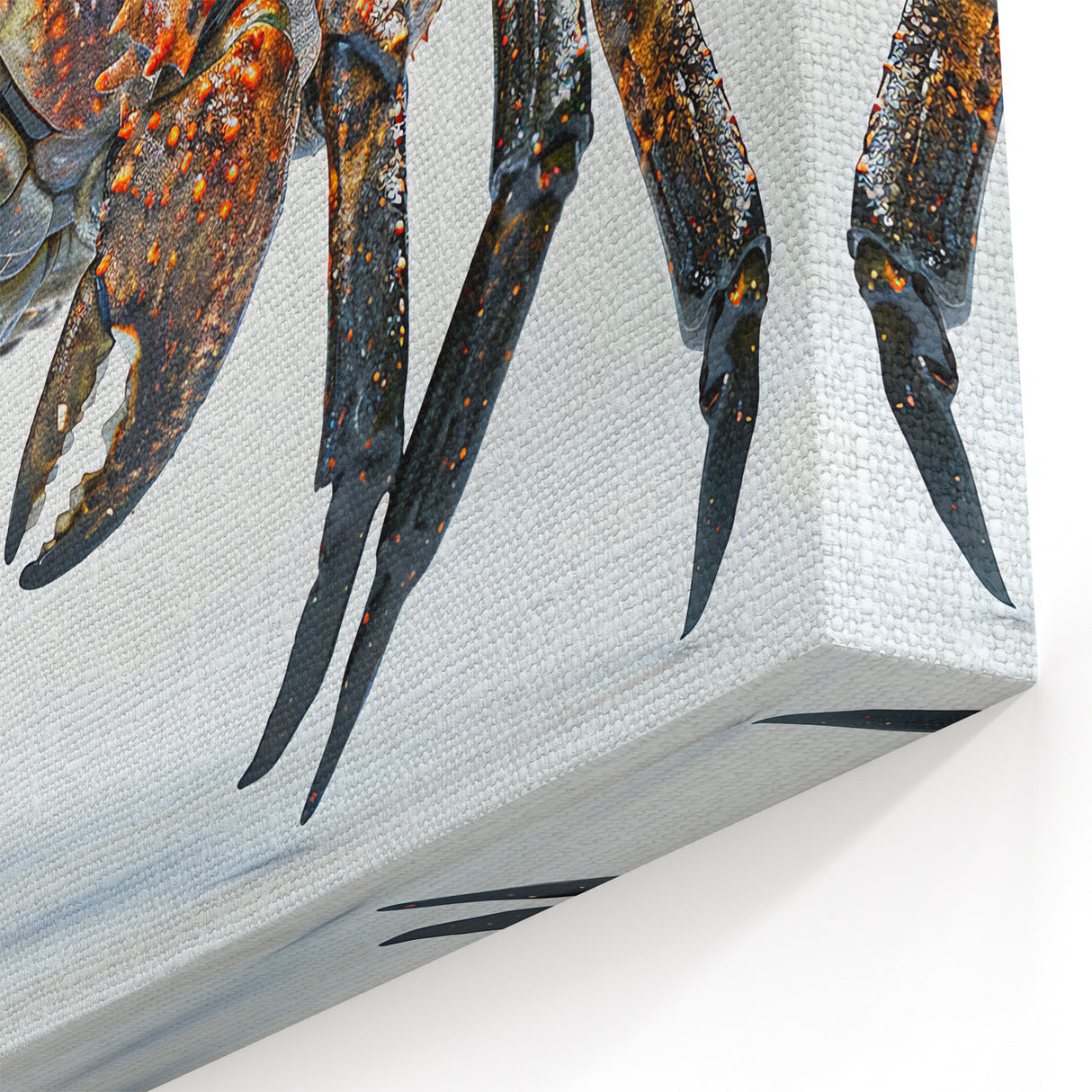 Crab Wall Art - Detailed Marine Life Print for Modern Coastal Decor