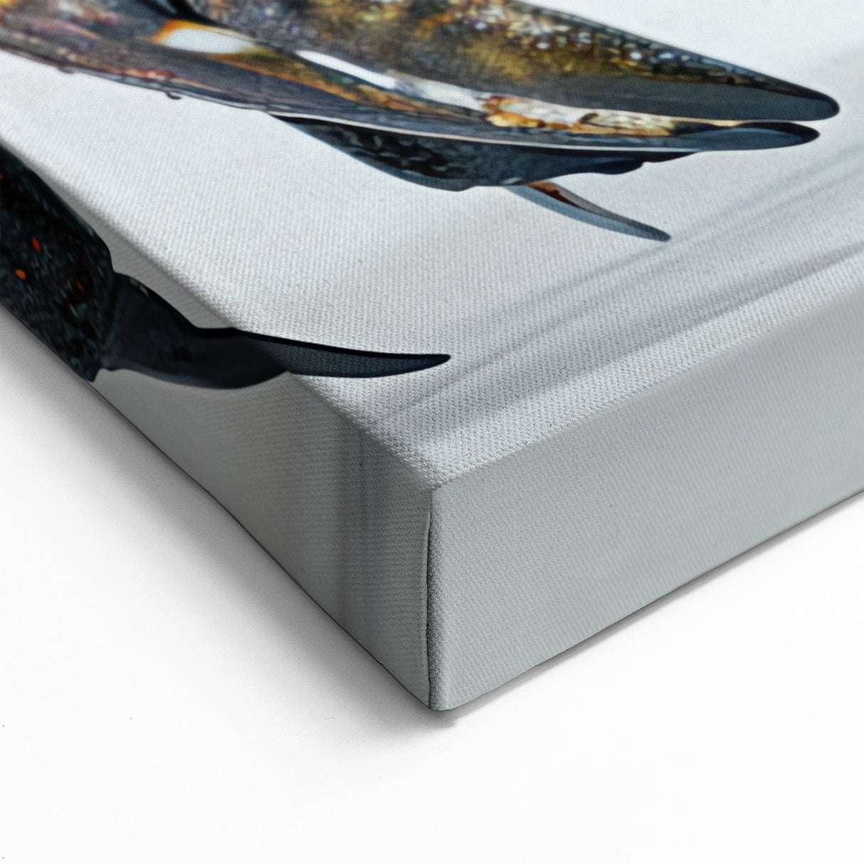 Crab Wall Art - Detailed Marine Life Print for Modern Coastal Decor