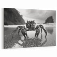 Crab Wall Art - Dramatic Black and White Marine Life Print for Home Decor