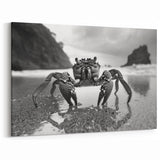 Crab Wall Art - Dramatic Black and White Marine Life Print for Home Decor