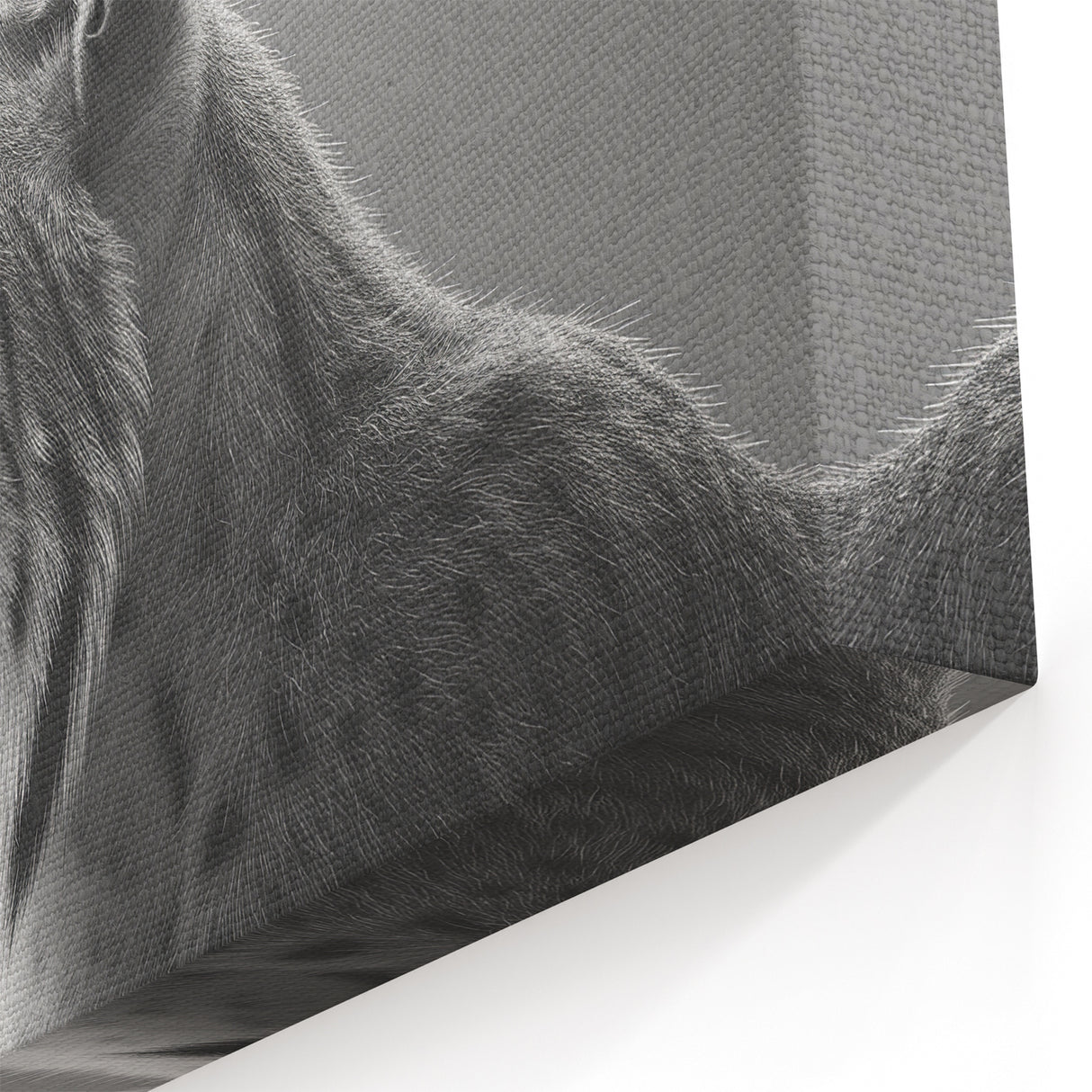 Majestic Lynx Wall Art - Premium Canvas, Framed, Acrylic Glass Print Decor