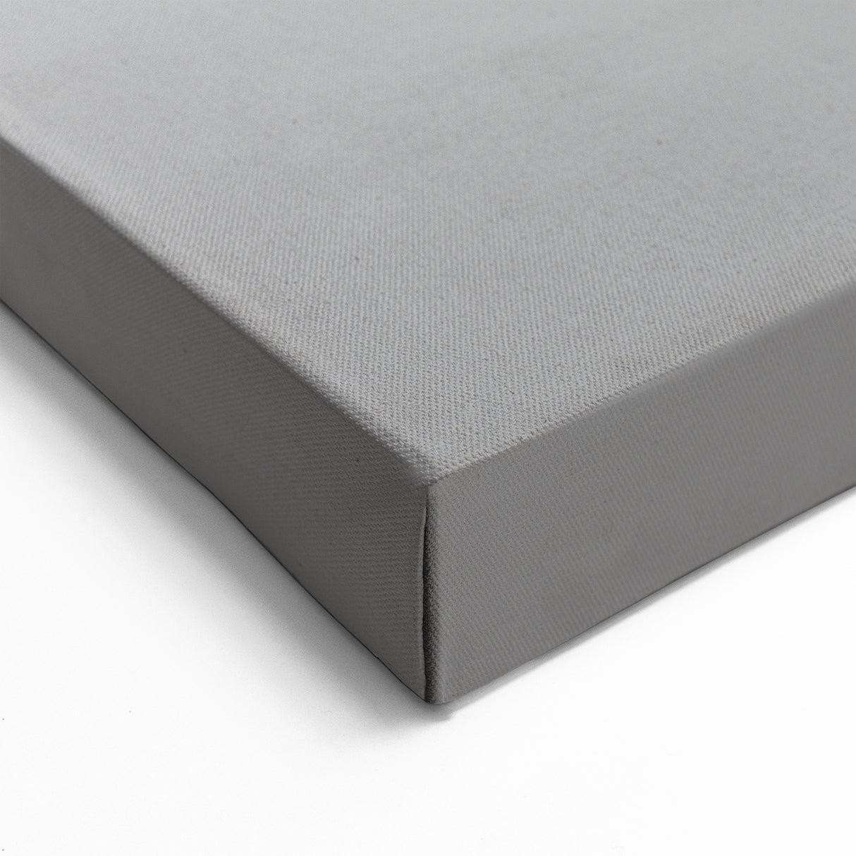 Majestic Lynx Wall Art - Premium Canvas, Framed, Acrylic Glass Print Decor