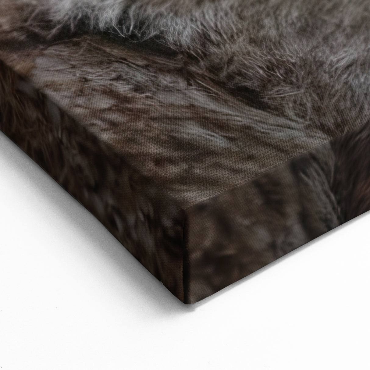 Lynx in Snow Wall Art - Stunning Nature Canvas & Framed Print Decor