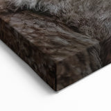 Lynx in Snow Wall Art - Stunning Nature Canvas & Framed Print Decor