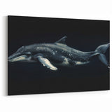 Majestic Dolphin Wall Art - Dark Underwater Marine Life Canvas Print