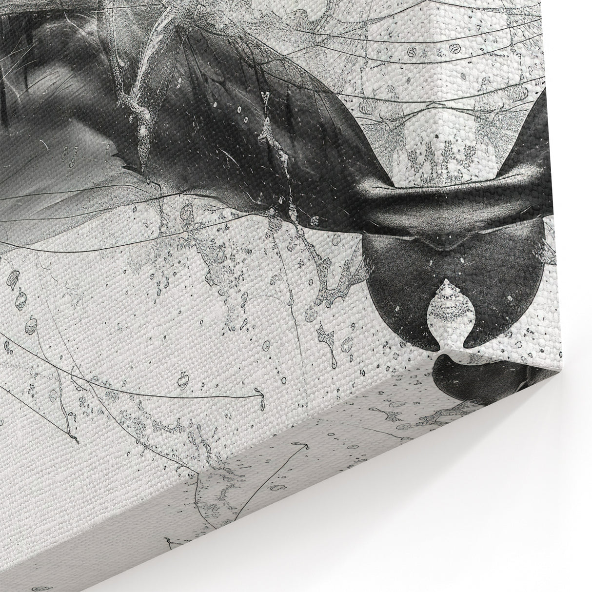 Sleek Dolphin Wall Art - Minimalist Marine Life Canvas Print