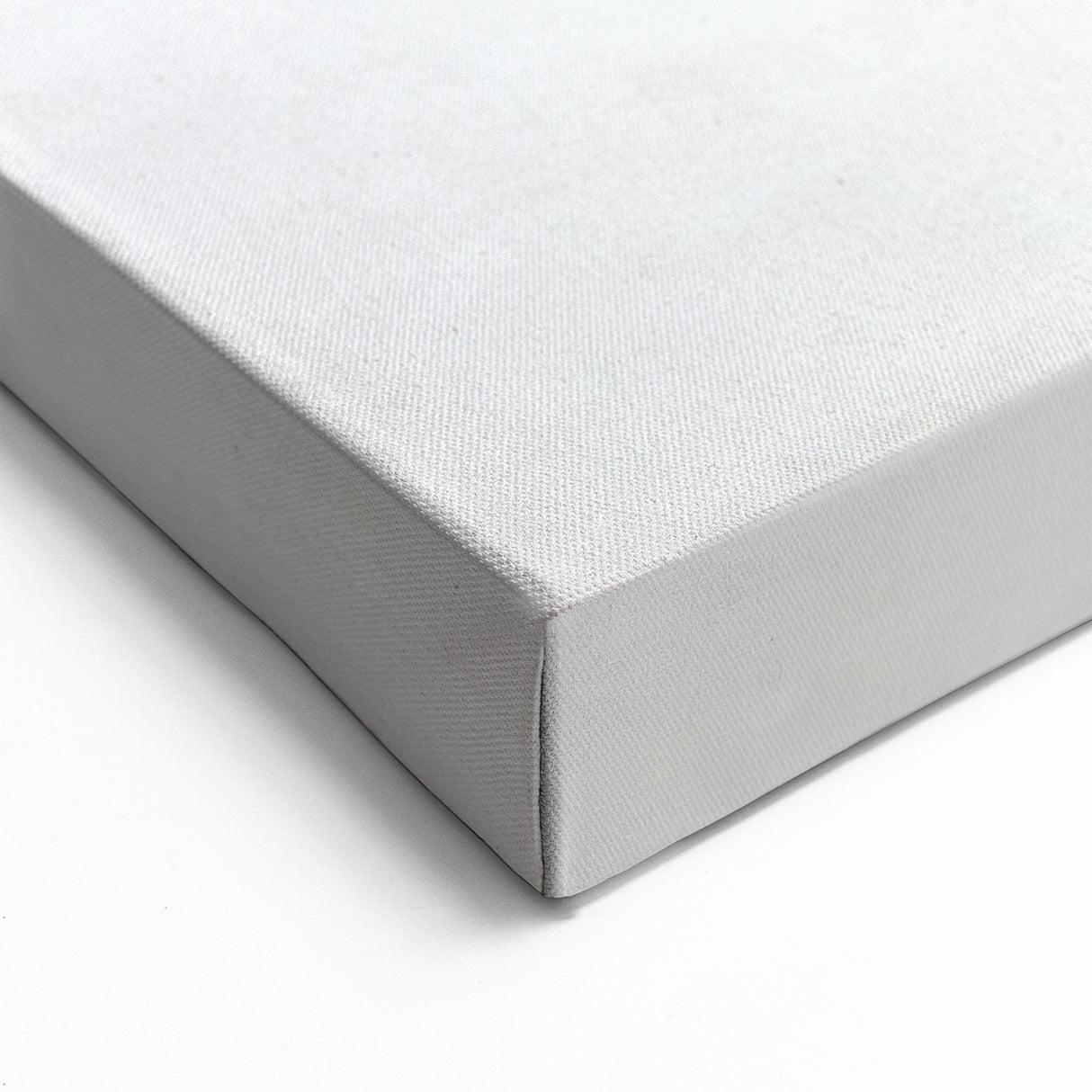 Sleek Dolphin Wall Art - Minimalist Marine Life Canvas Print