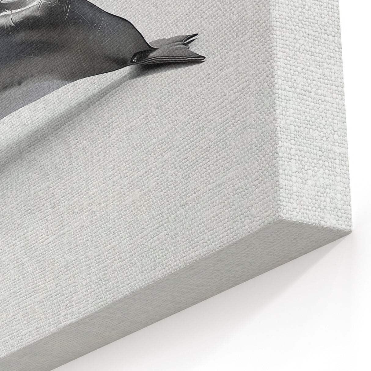 Minimalist Dolphin Wall Art - Modern Marine Life Canvas Print