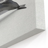 Minimalist Dolphin Wall Art - Modern Marine Life Canvas Print