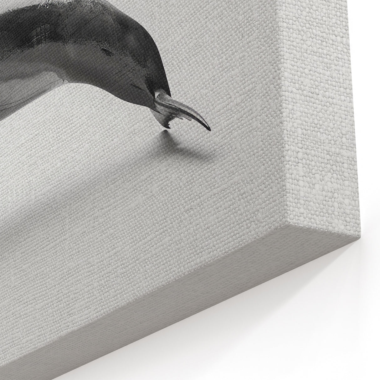 Sleek Dolphin Wall Art - Modern Minimalist Marine Life Canvas Print