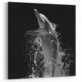 Dramatic Dolphin Wall Art - Black and White Marine Life Canvas Print