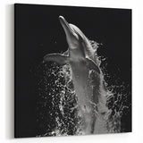 Dramatic Dolphin Wall Art - Black and White Marine Life Canvas Print