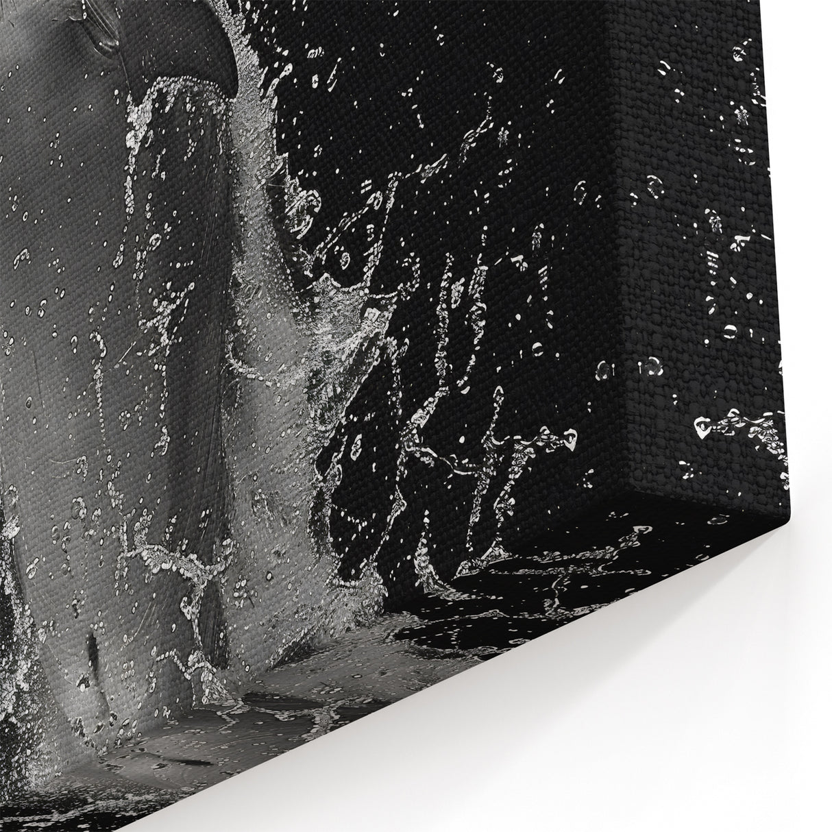 Dramatic Dolphin Wall Art - Black and White Marine Life Canvas Print