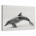 Textured Dolphin Wall Art - Modern Marine Life Canvas Print