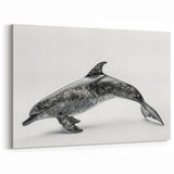 Textured Dolphin Wall Art - Modern Marine Life Canvas Print
