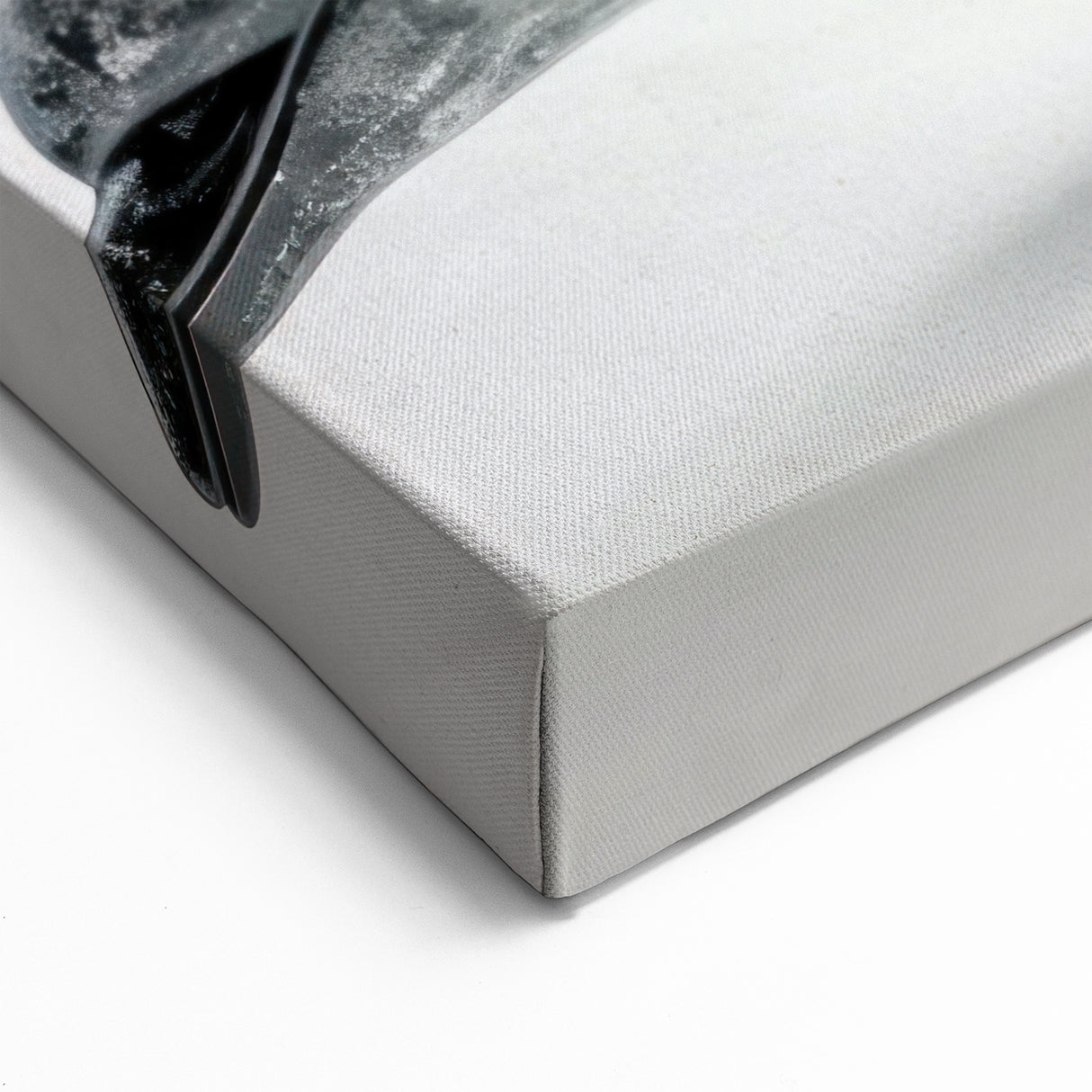 Textured Dolphin Wall Art - Modern Marine Life Canvas Print